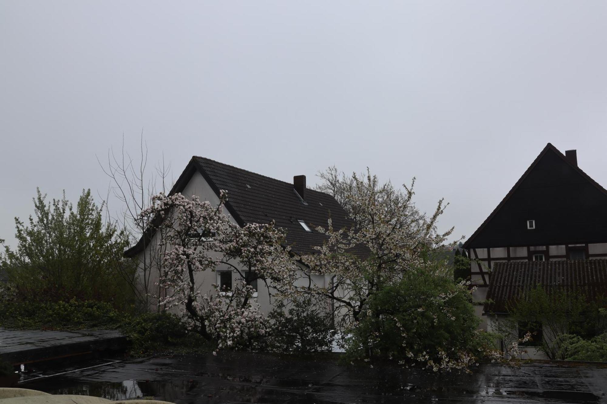 Haarener Hof Bad Wünnenberg